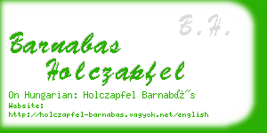 barnabas holczapfel business card